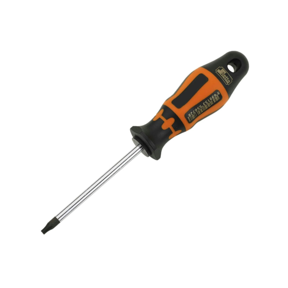 PHILLIPS SCREWDRIVER T20x100 MM